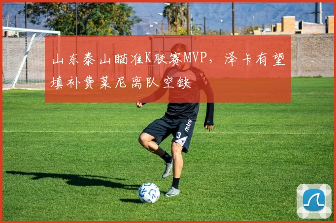 山东泰山瞄准K联赛MVP，泽卡有望填补费莱尼离队空缺